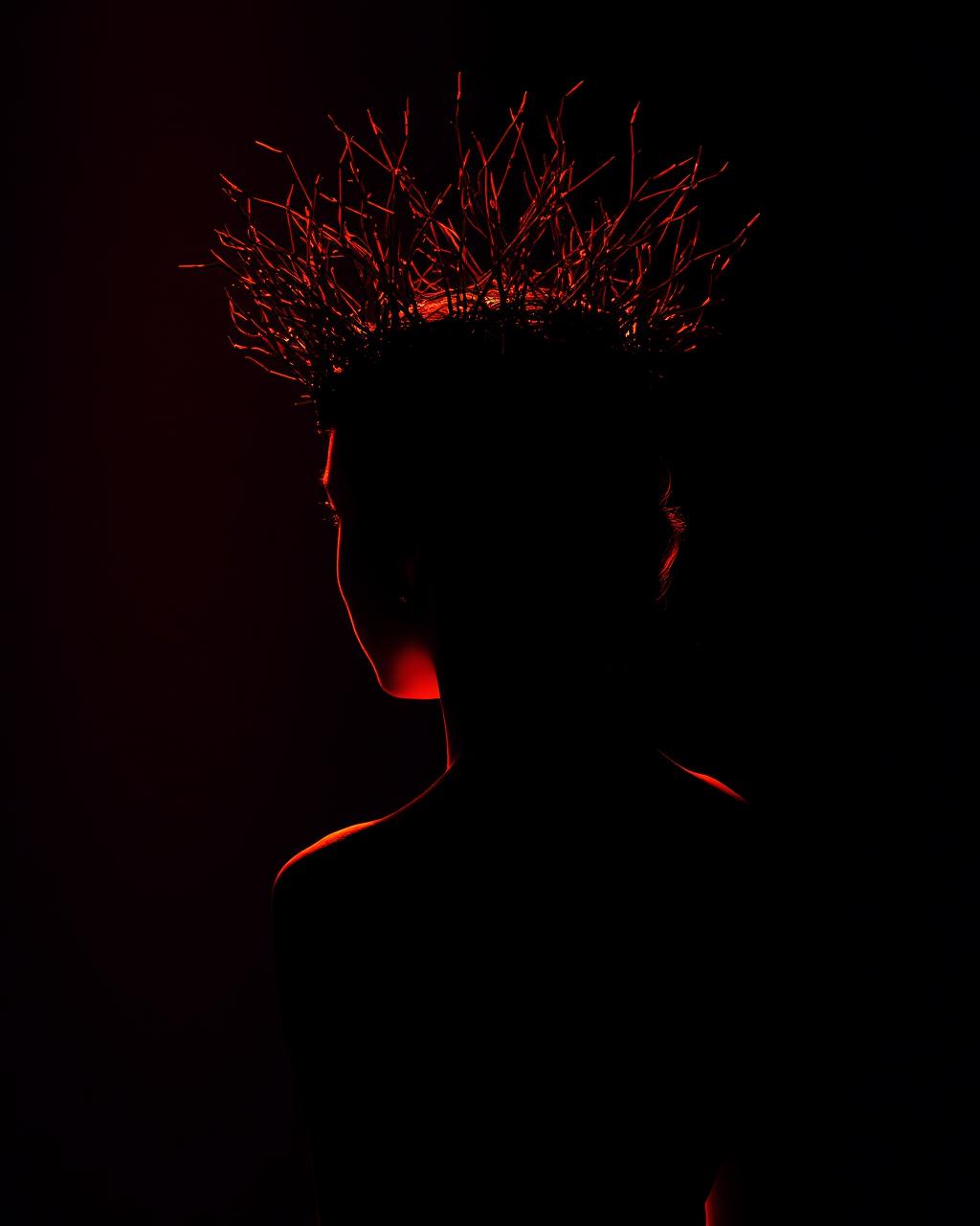 Pride — Superbia, an allegorical portrait